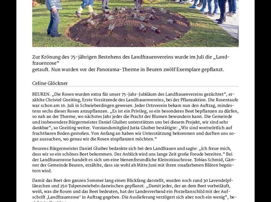Pressebericht der Nürtinger Zeitung